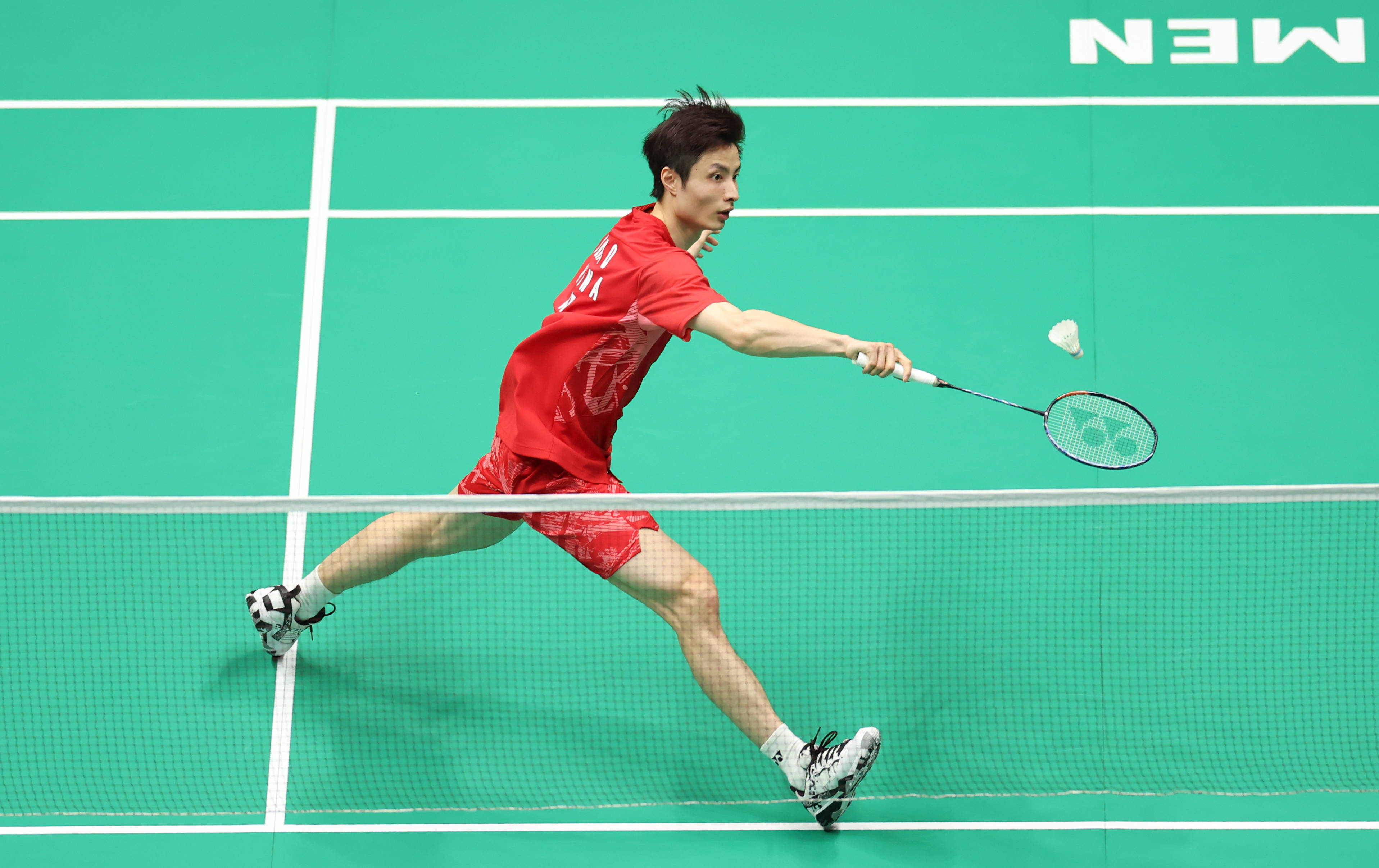 他们将有机 他们将有机